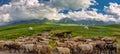 Beautiful Nalati Grassland, Xinjiang, China